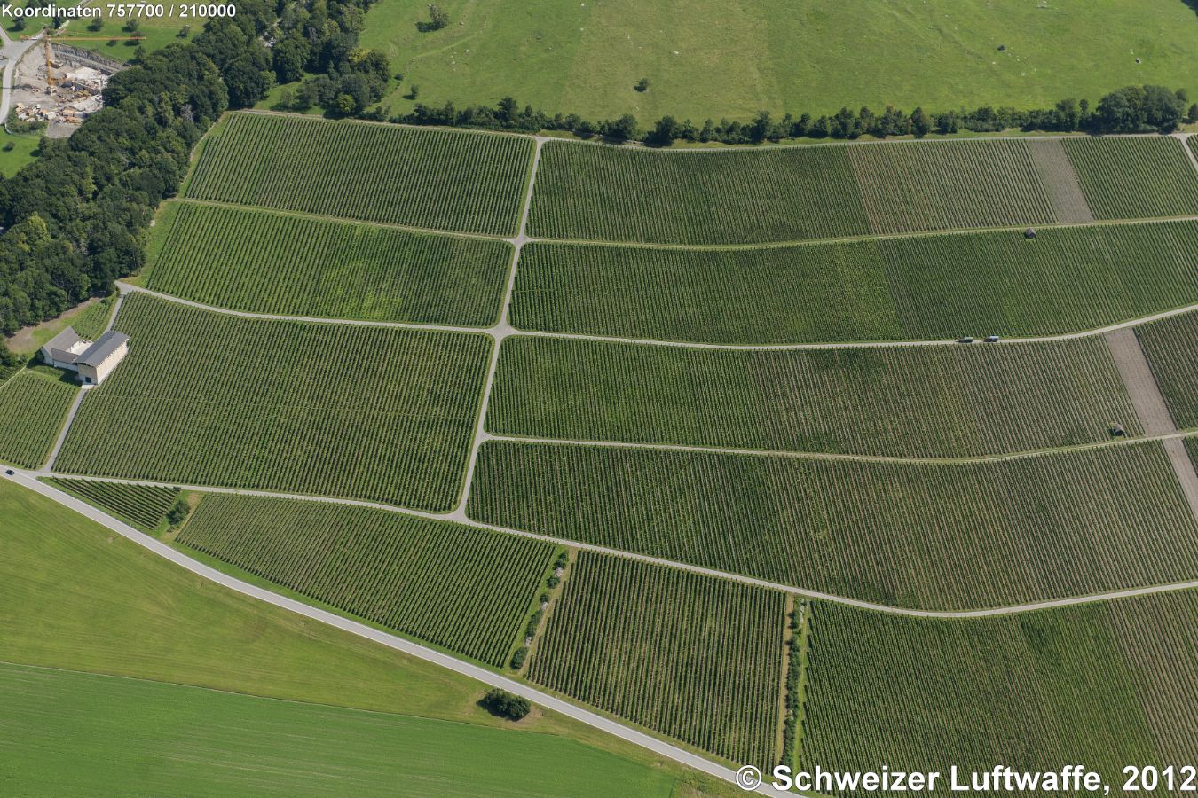 'Bündner Herrschaft': Fläsch, Rebberge (knapp 50 ha), vorwiegend Blauburgunder